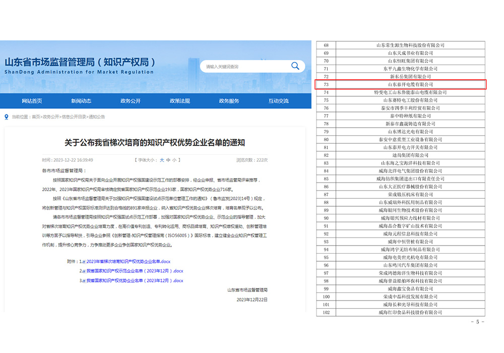 山东省梯次培育知识产权优势企业